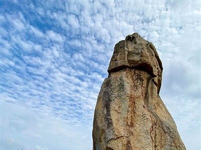 狮山游乐园成人门票是否免费？